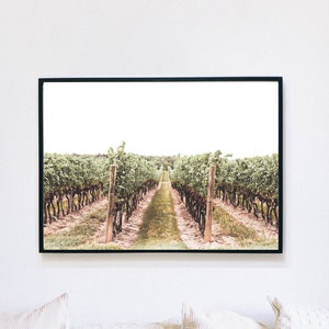 Vineyard Digital Print, Wine Country Poster, Napa Valley Printable Wall Art, Niagara-on-the-Lake Photography, Vines, Grape & Wine Scenery
