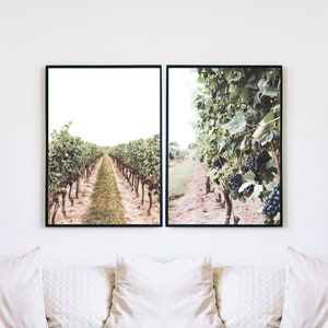 Vineyard Set of 2 Digital Print, Wine Country Poster, Napa Valley Printable Wall Art, Niagara-on-the-Lake Photography, Vines, Grape & Wine