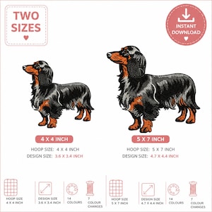 Long Haired Dachshund Embroidery Design, Animal Machine Embroidery, Digital Download