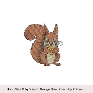 May include: Embroidered design of a brown squirrel holding a nut. The design is 2 inches by 2.2 inches.