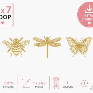 Insect Border Embroidery Design: Bee, Dragonfly, Butterfly Digital Download. machine embroidered design