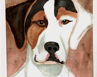 Custom pet portraits.