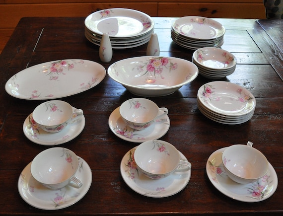 Noritake Nippon Toki Kaisha Japan Pink Carnation China - Etsy