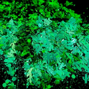 Emerald City Cactus - Sachet de paillettes 10 g