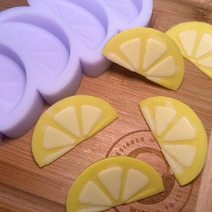 Cartoon Fruit Slice Silicone Mold. Summer Wax Melt Silicone Mould. Wax Melt Mold