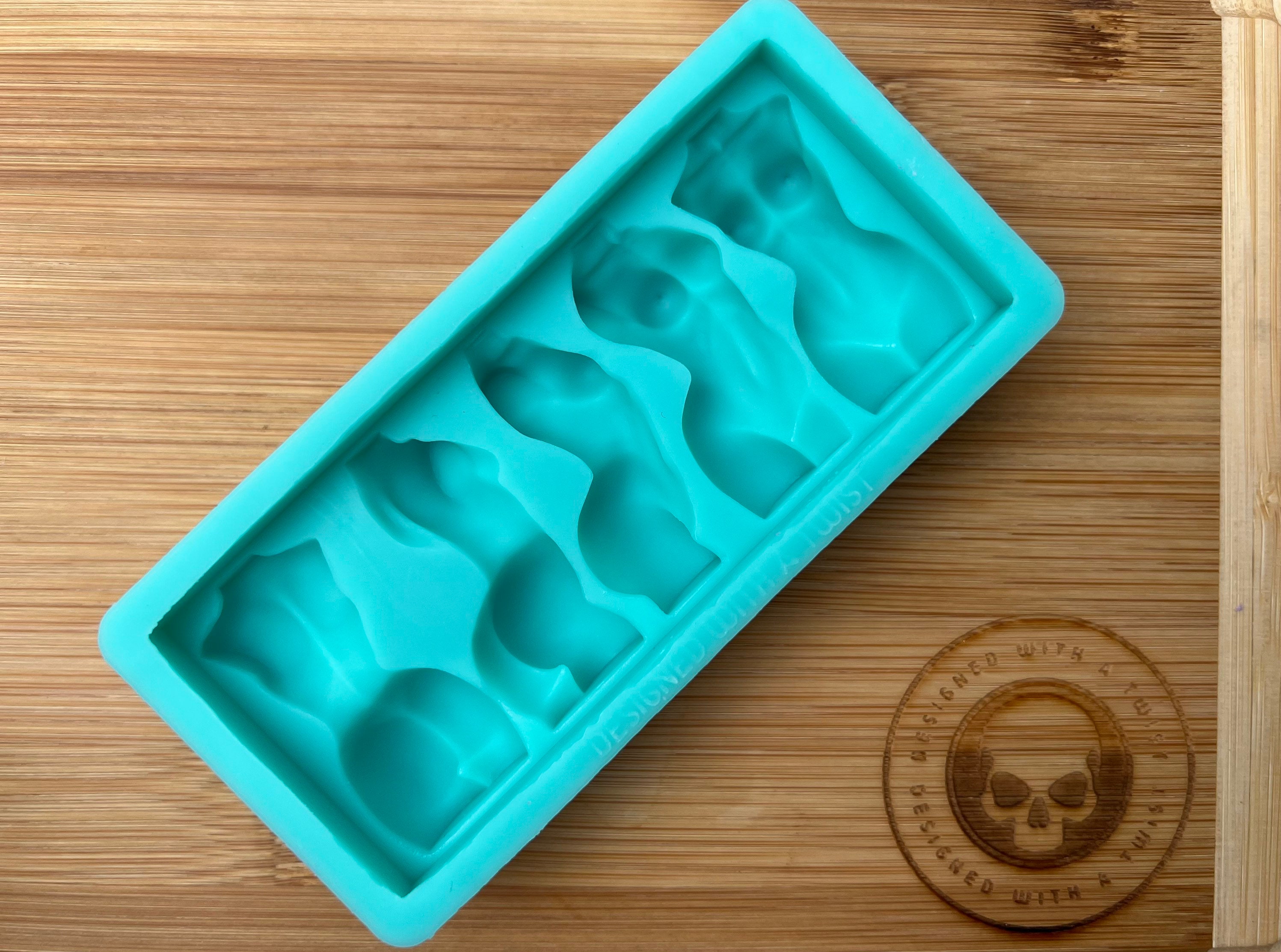 SWAN Ice Block Mold Set (10 with Snap-on Lids) –