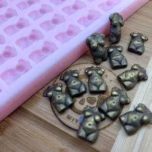 Könnte beinhalten: Eine Silikonform mit mehreren Vertiefungen in Form eines menschlichen Torsos. Die Form ist rosa und liegt auf einer Holzoberfläche. Auf der Holzoberfläche befinden sich mehrere kleine, goldfarbene Metallfiguren von menschlichen Torsos.