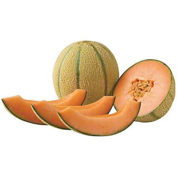 Summer Gem Melon, Muskmelon, Dream Melon, Summer Gem melon seeds, 20 Seeds