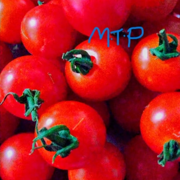 Braveheart Cherry Red Tomato Seeds, Garden Vegetable
