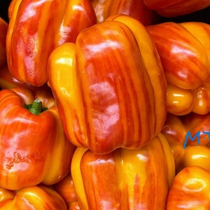 May include: A rustic wooden sign with the text "Welcome to our home" in white lettering. The sign features a distressed finish and a simple, inviting design, perfect for front door decor.