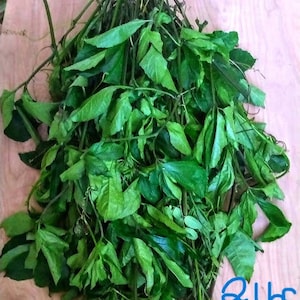 May include: A bundle of fresh green leaves and stems, possibly herbs or a similar plant, rests on a light brown wooden surface. The leaves are a vibrant green, and the stems are a mix of green and brown. The text "2 lbs MTP" is written in blue on the bottom right.