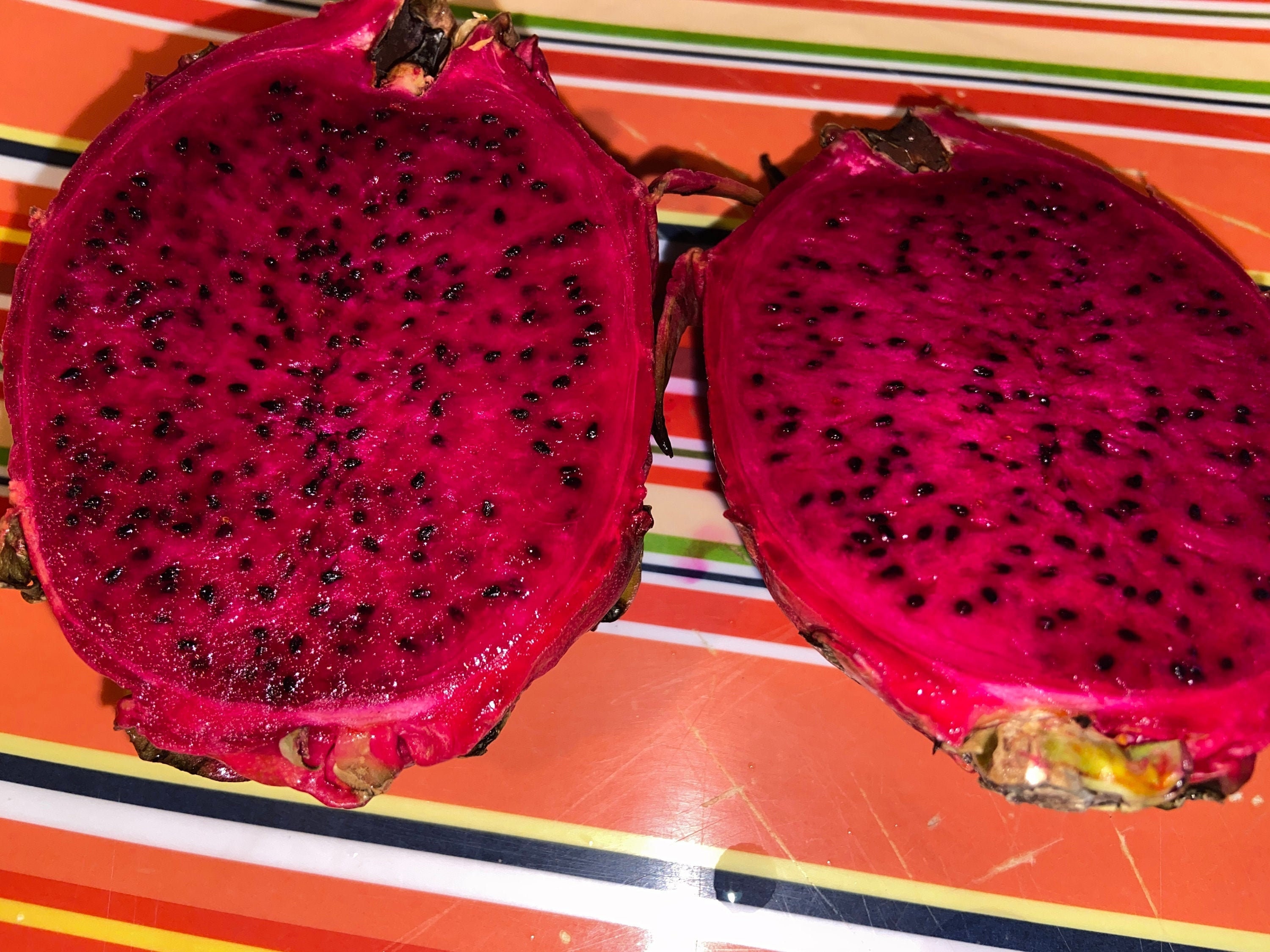 CHOICE OF Red/yellow/white Dragon Fruit SEEDS - Etsy Israel