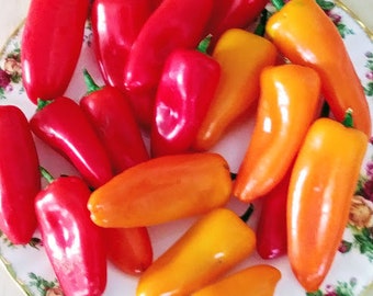 MIXED Lunchbox snack pepper seeds;  Red, Yellow, and Orange, Capsicum annuum