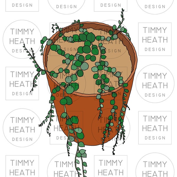 String of Pearls in Terra-cotta Pot - Digital Download file, Sublimation, .PNG, .JPG, .SVG file, Raster Image Illustration Art or Icon