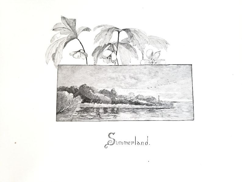 May include: A black and white illustration of a landscape with a river, trees, and a small building in the distance. The illustration is framed by a border of leaves and flowers. The text "Summerland" is written below the illustration.