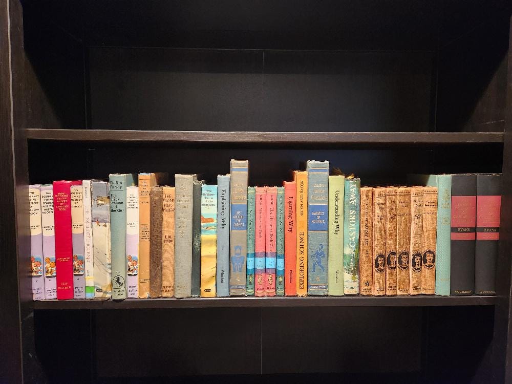 Young Adult Hardcover Books, Fill a Bookshelf, Young Adult Books, Bobbsey Twins, Born Wicked, Winnie the Pooh, Chip Hilton Sports Novel Set