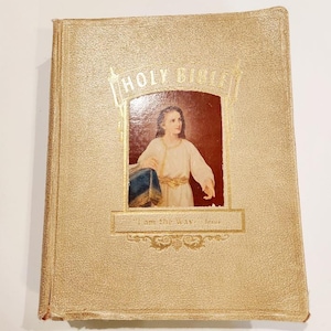 Holy Bible, The New Standard Alphabetized Indexed Bible, Reference Bible, New & Old Testaments Holy Bible, Bible Religious Gift, Old Bible