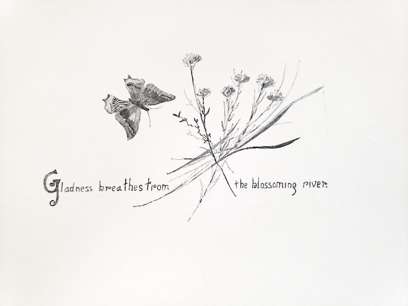 May include: A black and white drawing of a butterfly flying towards a cluster of small white flowers with the text "Gladness breathes from the blossoming river."