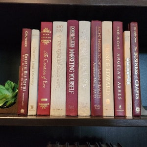 Decorative Books, Neutral Books, Tan Books, Cranberry Color Books, Books by Color Bundle, Neutral & Cranberry Book Bundle for Home Staging
