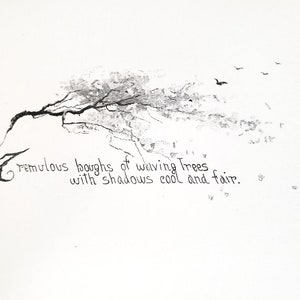 May include: A black and white drawing of a tree with branches reaching out to the right. The tree is drawn with a light, airy style, and the branches are thin and delicate. The drawing is set against a white background. The text "Tremulous boughs of waving trees with shadows cool and fair." is written below the tree.
