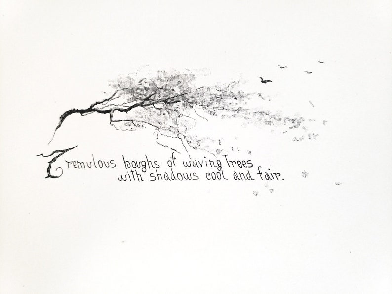 May include: A black and white drawing of a tree with branches reaching out to the right. The tree is drawn with a light, airy style, and the branches are thin and delicate. The drawing is set against a white background. The text "Tremulous boughs of waving trees with shadows cool and fair." is written below the tree.