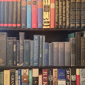 Vintage Blue Books (20), Lot of Blue Books, Blue Book Decor, Book Staging, Shabby Chic Book Decor, Farmhouse Book Decor, Fill a Bookshelf