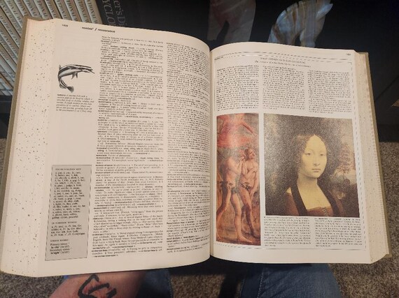 Reader's Digest Illustrated Encyclopedic Dictionary, 2 Volume