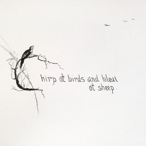 May include: A black and white drawing of a bird perched on a branch with the text "chirp of birds and bleat of sheep."