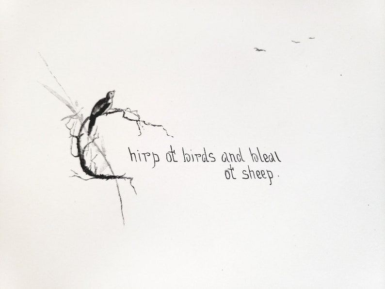 May include: A black and white drawing of a bird perched on a branch with the text "chirp of birds and bleat of sheep."