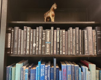 Decorative Books by Color for Shelf Styling, Black Books w/Silver, Curated Vintage Library Set, Interior Design Books, Movie Prop Staging