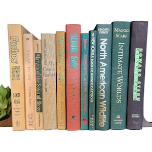 Decorative Books, Neutral Books, Tan Books, Green Color Books, Books by Color Bundle, Neutral & Green Book Bundle for Home Staging, Decor