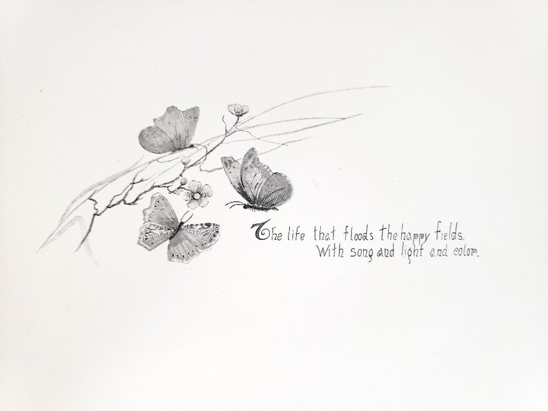 May include: A black and white drawing of three butterflies on a branch with flowers. The text "The life that floods the happy fields. With song and light and color." is written below the butterflies.