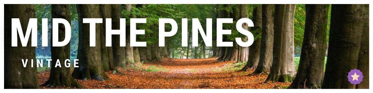 MidThePinesVintage - Etsy