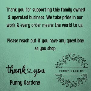 May include: A green background with a message thanking customers for supporting a family owned and operated business. The text also says "every order means the world to us." The text "thank you" is written in a decorative font with a heart symbol. The logo "Punny Gardens" is displayed twice, once in a decorative font and once in a wreath.
