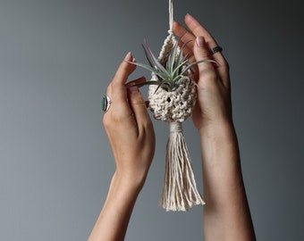 Mini Macrame Air Plant Hanger  /  Plant Nest  /  Cozy Pod  /  Gift Idea  /  Succulent Hanger / Boho Decor