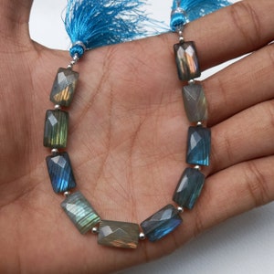 May include: A strand of faceted rectangular labradorite beads in shades of blue, green, and gray. The beads are strung on a silver-colored wire and are accented with blue tassels.