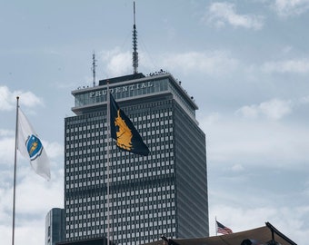 PHOTO | Boston Marathon Unicorn Flag| Paper, Canvas & Foam Board Prints | Always FREE Photo Shipping!