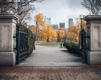 PHOTO | Boston Common on a Cold Winter Day | Paper, Canvas & Foam Board Prints | Always FREE Photo Shipping!