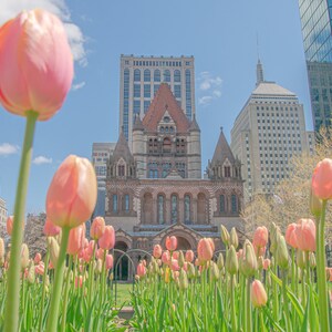 PHOTO | Spring Flowers Copley Square Boston | Paper, Canvas & Foam Board Prints | Always FREE Photo Shipping!