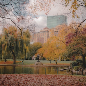 May include: A pond in a park with fall foliage. The trees are a mix of yellow, orange, and red. There are buildings in the background.