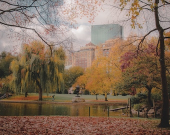 PHOTO | Fall Foliage from Boston Public Garden | Paper, Canvas & Foam Board Prints | Always FREE Photo Shipping!