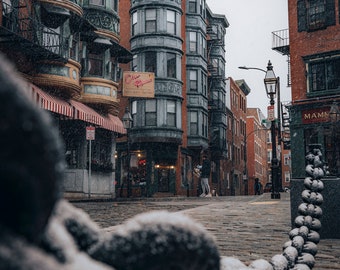 PHOTO | North End Boston | Paper, Canvas & Foam Board Prints | Always FREE Photo Shipping!