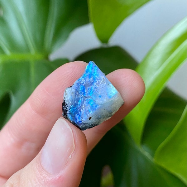 Raw Moonstone | Perfect for Pocket or Purse | Stabilizes Emotions, Provides Calm