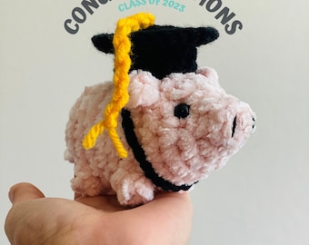 Mini Pig with Graduation Cap Gift, Handmade Graduation Gifts for Her, Class of 2024 Graduation Gifts, College Grads Gifts, Senior 2024 Gift