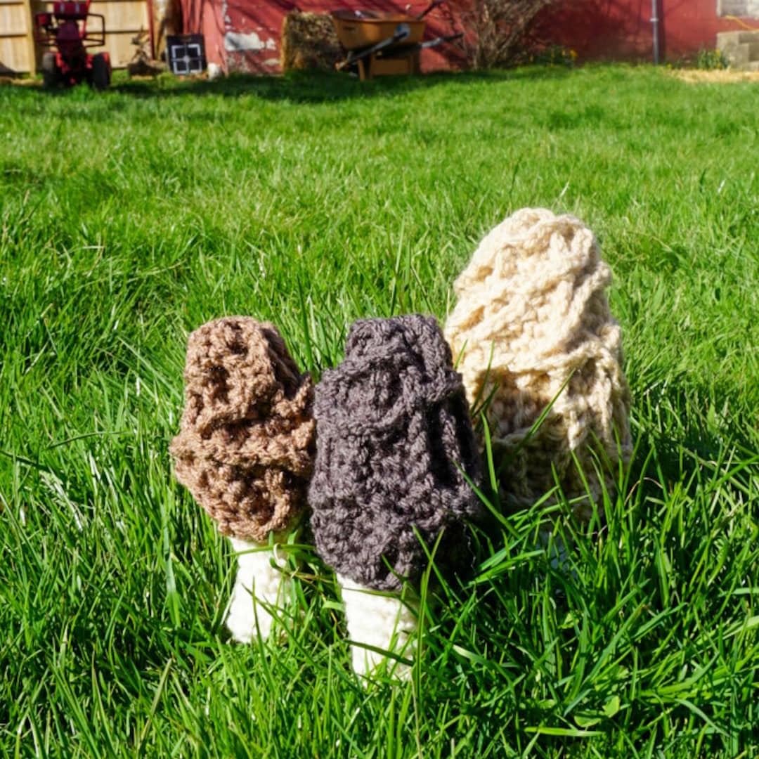Handmade Morel Mushrooms, Mycology Gifts, Mushroom Picker Gifts, Foraging Morels, Morel Mushroom
