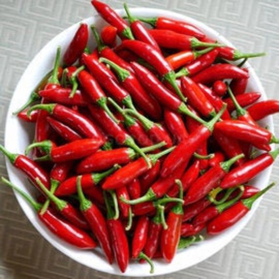 Rare Chilli Pepper Seeds Ukrainian Bitter Natural Vegetable Etsy