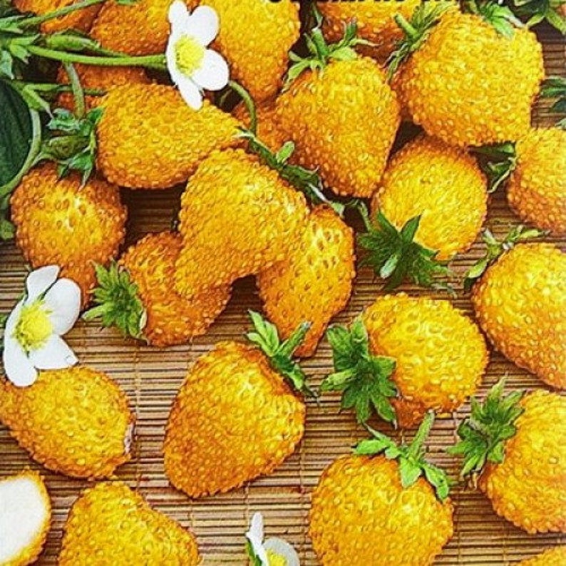 Strawberry Seeds Berries Seeds Yellow Miracle Heirloom