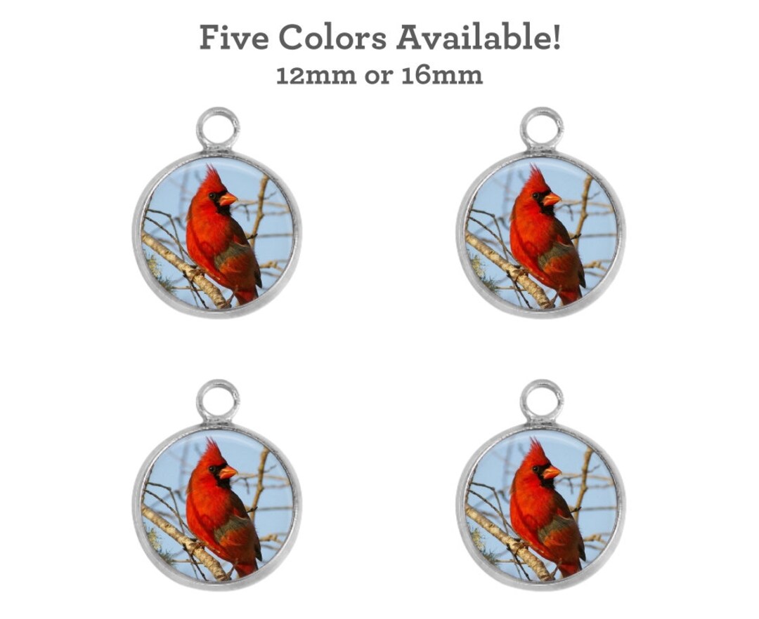 Red Cardinal Charms 12mm Round Charms 16mm Glass Charms Etsy