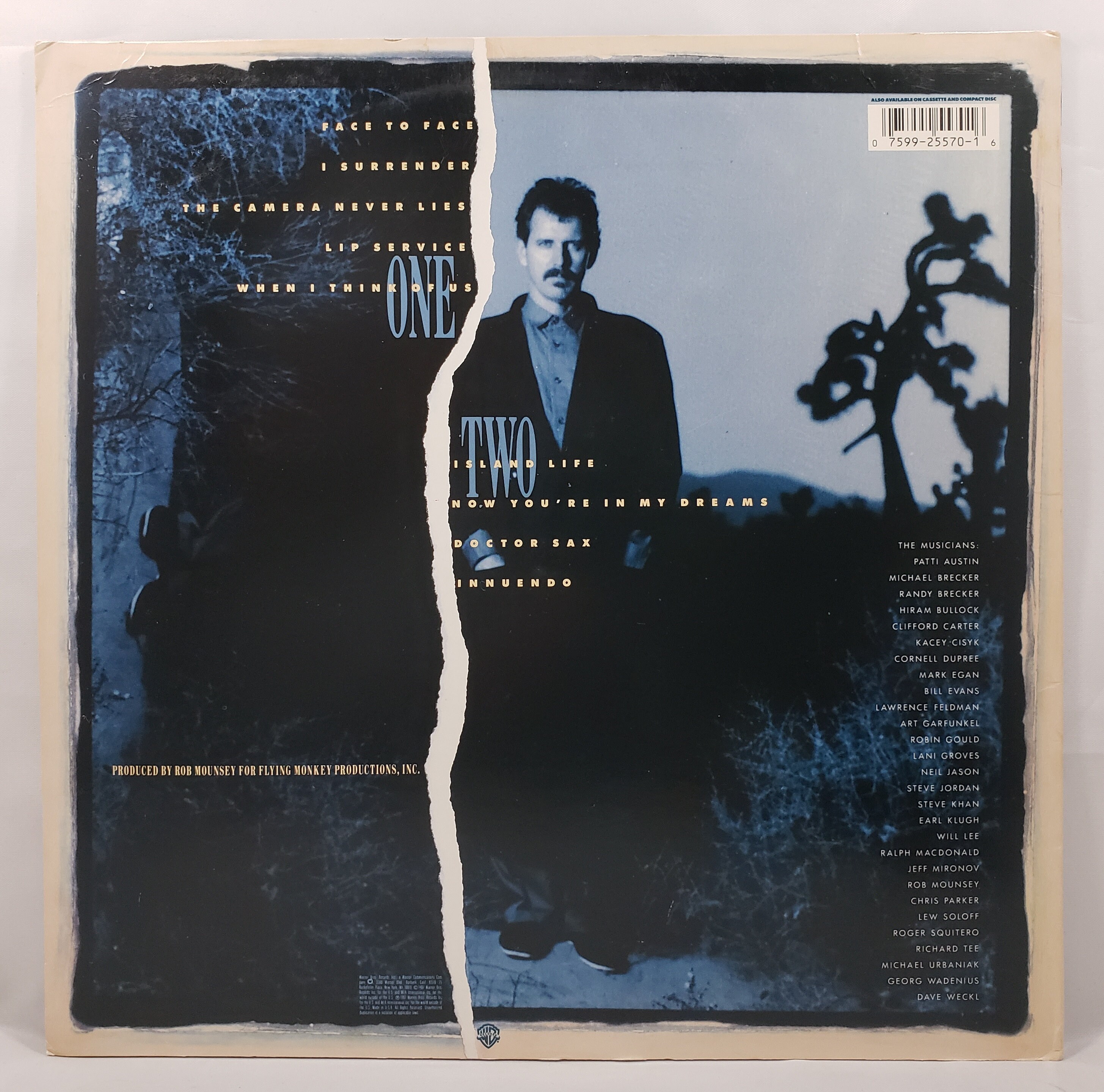 Michael Franks: The Camera Never Lies Vinyl Record LP | Etsy