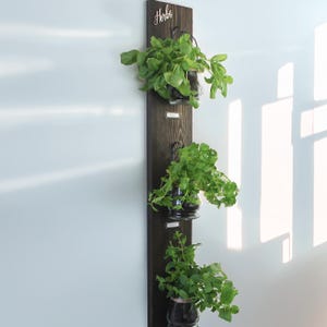 Giardino delle erbe aromatiche da appendere alla parete con vasi rustici in latta o vetro, decorazioni per la cucina, pollice verde, erbe e spezie, decorazioni per la casa, regalo di inaugurazione della casa